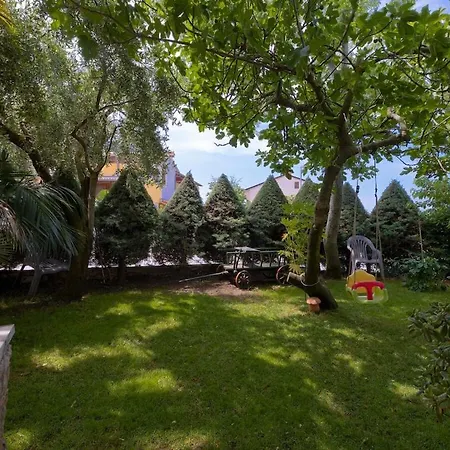 Kascuni A4 *